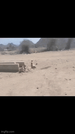 Daily Gifdump Daily Gifdump