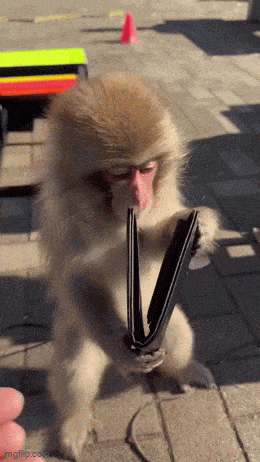 Daily Gifdump Daily Gifdump