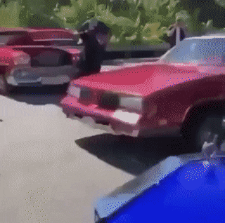 Daily Gifdump Daily Gifdump