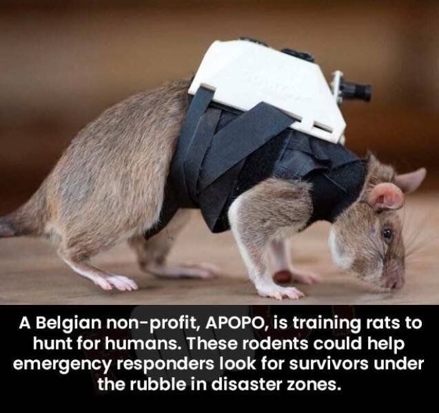 Daily Picdump [WEEKEND EDITION]