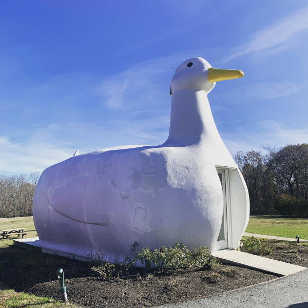 Daily Picdump [WEEKEND EDITION]