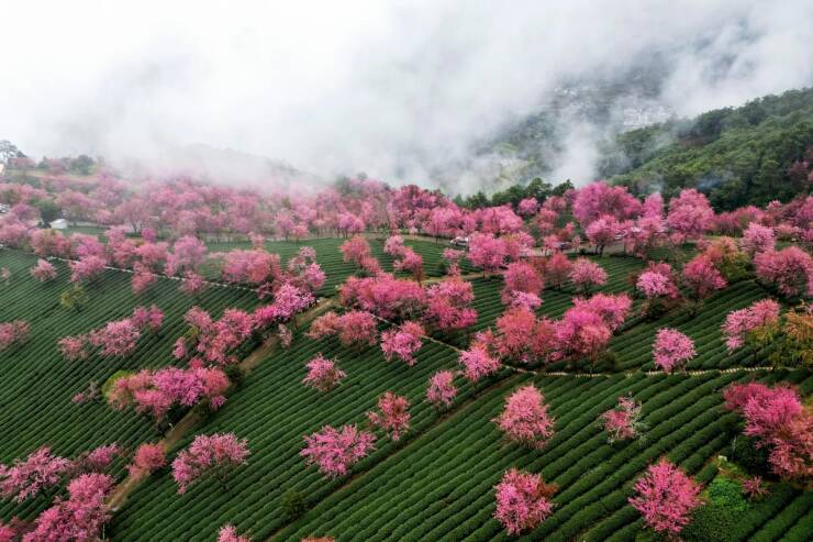 Daily Picdump [WEEKEND EDITION]