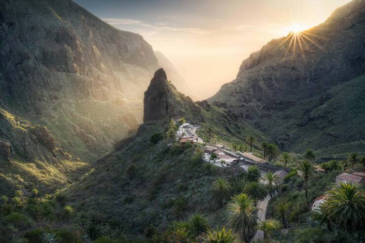 Daily Picdump [WEEKEND EDITION]