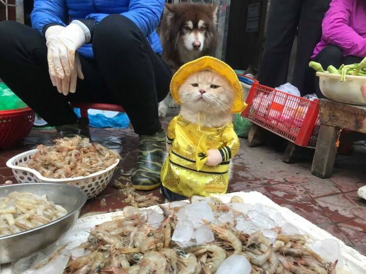 Daily Picdump [WEEKEND EDITION]