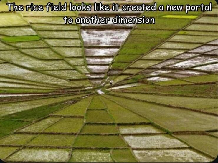 Daily Picdump [WEEKEND EDITION]