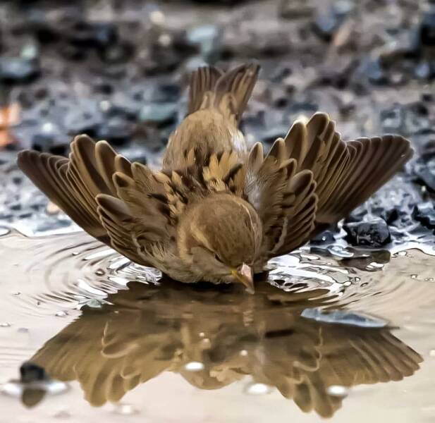 Daily Picdump [WEEKEND EDITION]