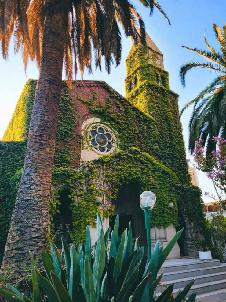 Daily Picdump [WEEKEND EDITION]