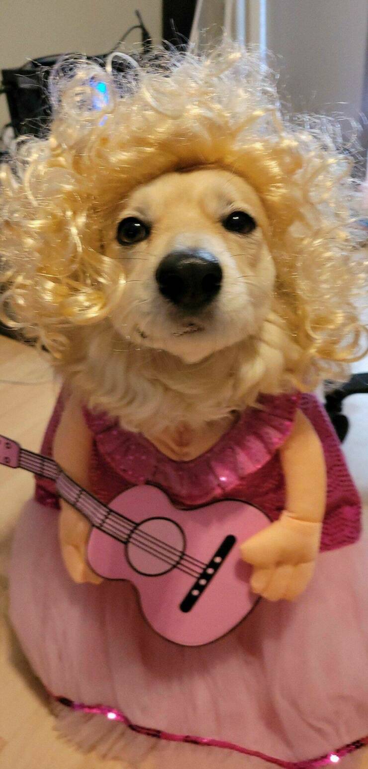 Daily Picdump [WEEKEND EDITION]