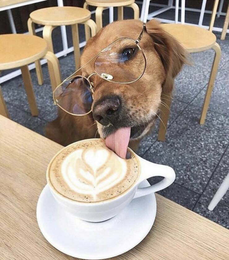 Daily Picdump [WEEKEND EDITION]