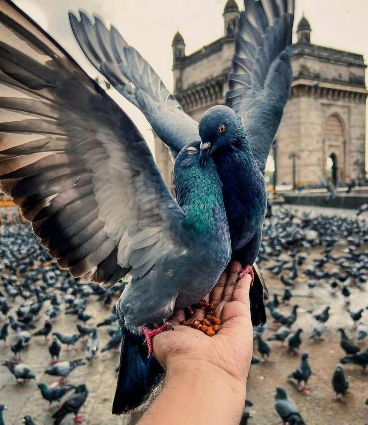 Daily Picdump [WEEKEND EDITION]