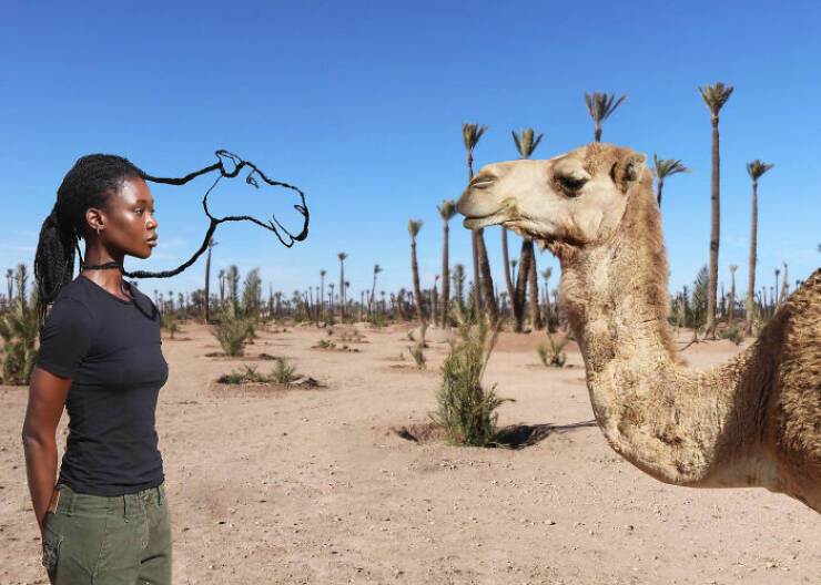 Laetitia Ky Turns Hair Into Stunning Works Of Art