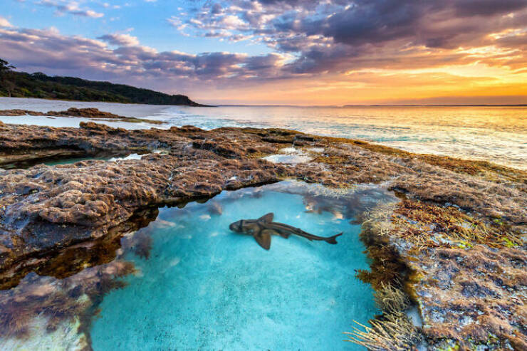 The Magical Beauty Of The Ocean