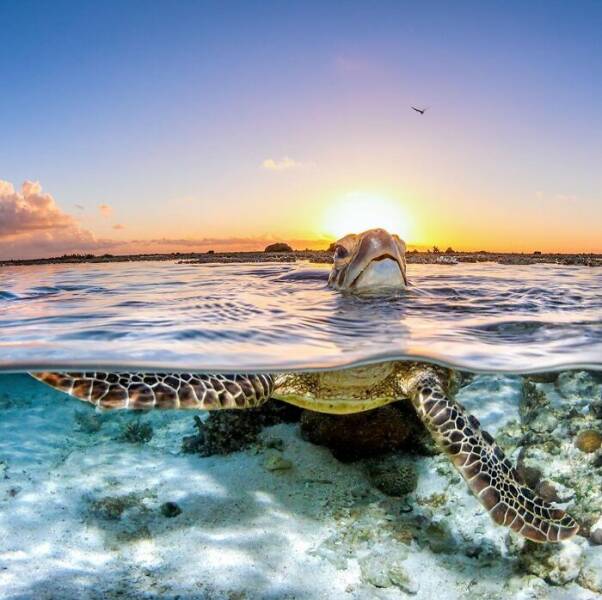 The Magical Beauty Of The Ocean