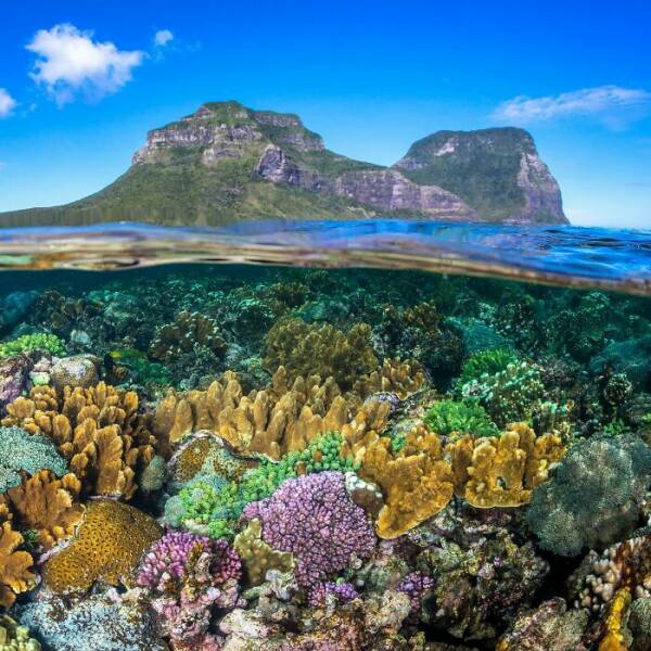 The Magical Beauty Of The Ocean