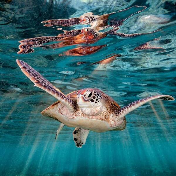 The Magical Beauty Of The Ocean The Magical Beauty Of The Ocean