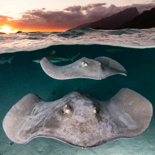 The Magical Beauty Of The Ocean The Magical Beauty Of The Ocean