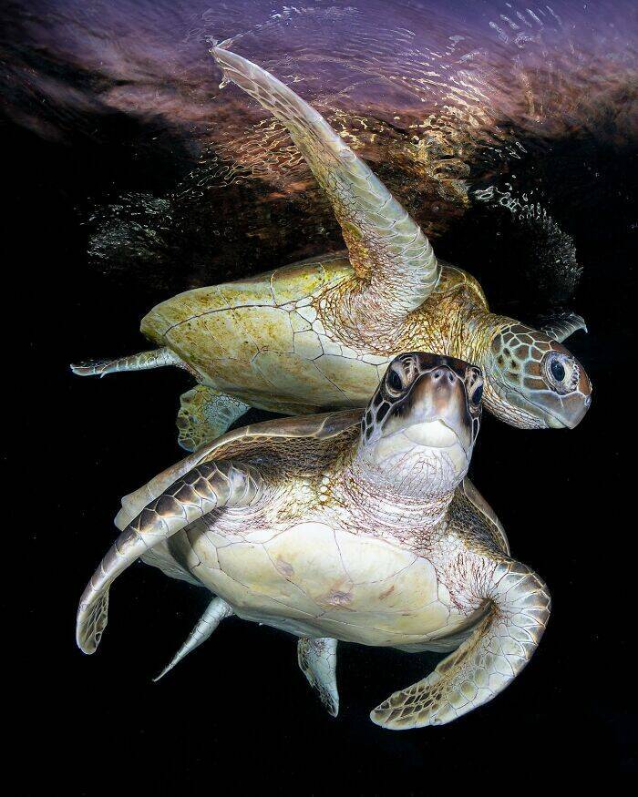 The Magical Beauty Of The Ocean