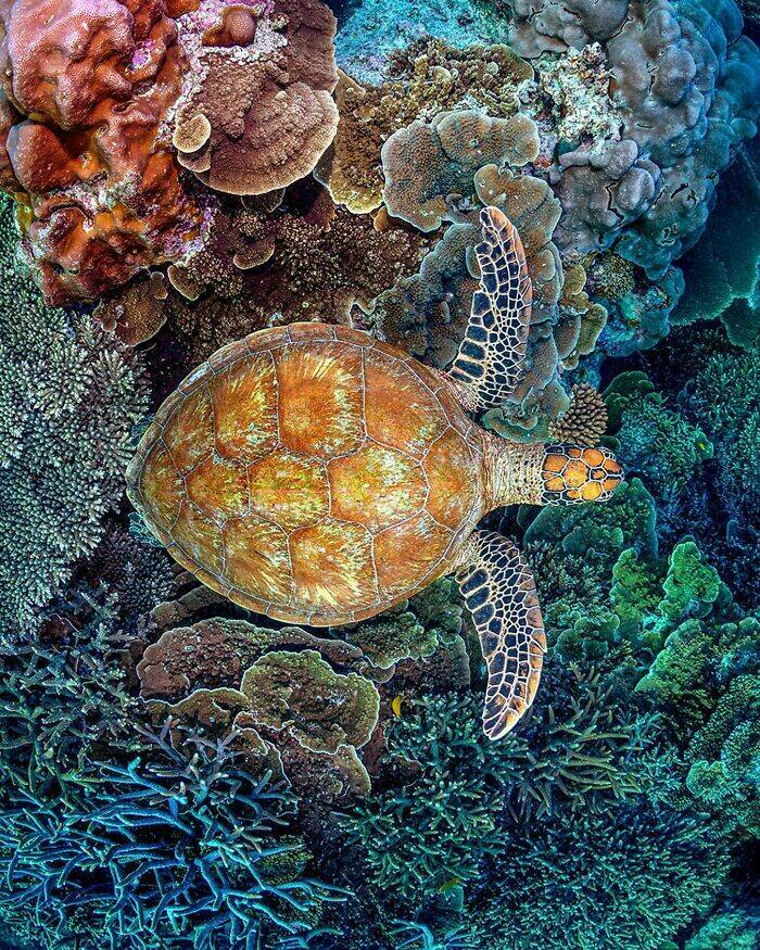 The Magical Beauty Of The Ocean