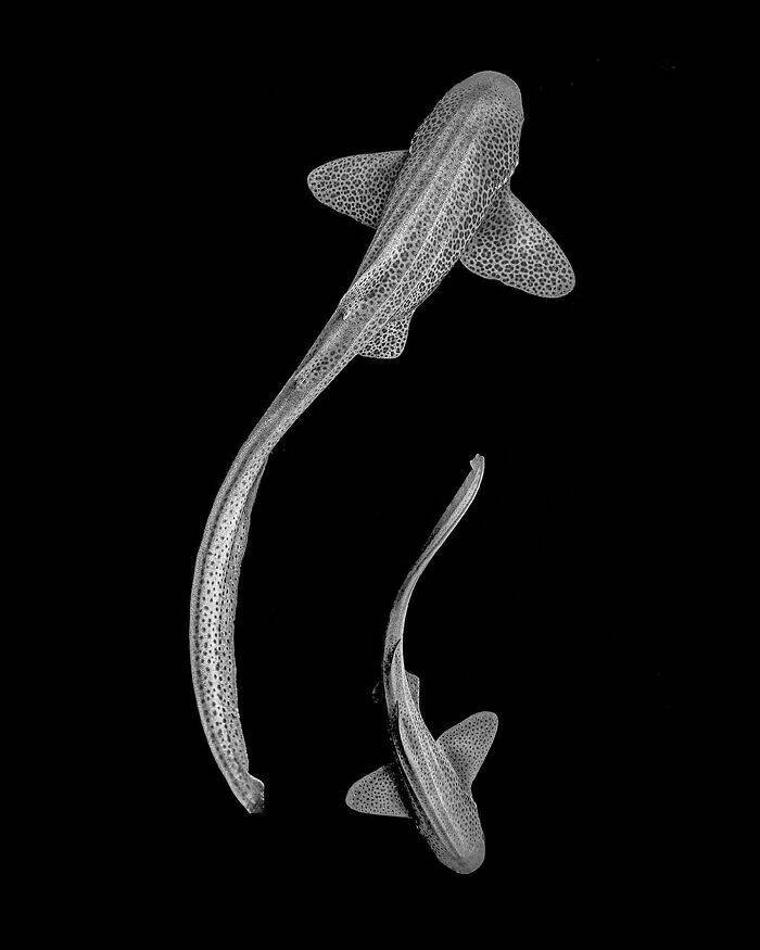 The Magical Beauty Of The Ocean