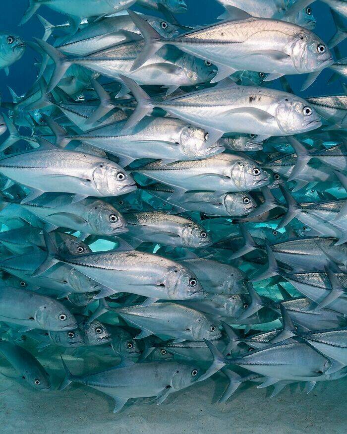 The Magical Beauty Of The Ocean The Magical Beauty Of The Ocean