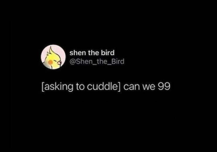 Uplifting Photos To Brighten Your Day Uplifting Photos To Brighten Your Day