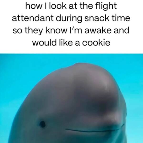 Uplifting Photos To Brighten Your Day Uplifting Photos To Brighten Your Day