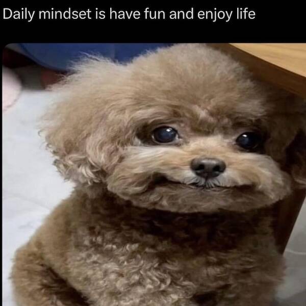 Uplifting Photos To Brighten Your Day Uplifting Photos To Brighten Your Day