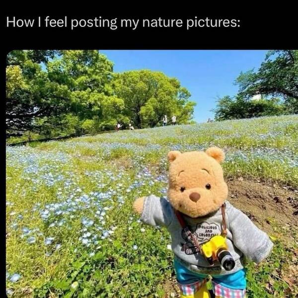 Uplifting Photos To Brighten Your Day Uplifting Photos To Brighten Your Day