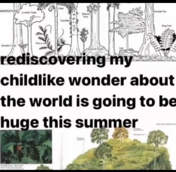 Uplifting Photos To Brighten Your Day Uplifting Photos To Brighten Your Day