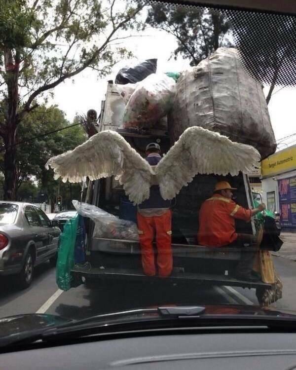 Uplifting Photos To Brighten Your Day Uplifting Photos To Brighten Your Day