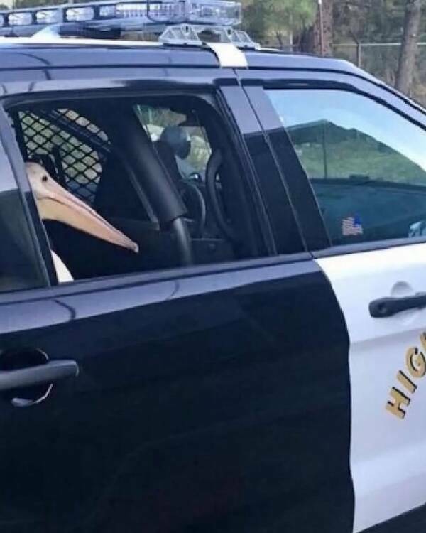 Uplifting Photos To Brighten Your Day Uplifting Photos To Brighten Your Day