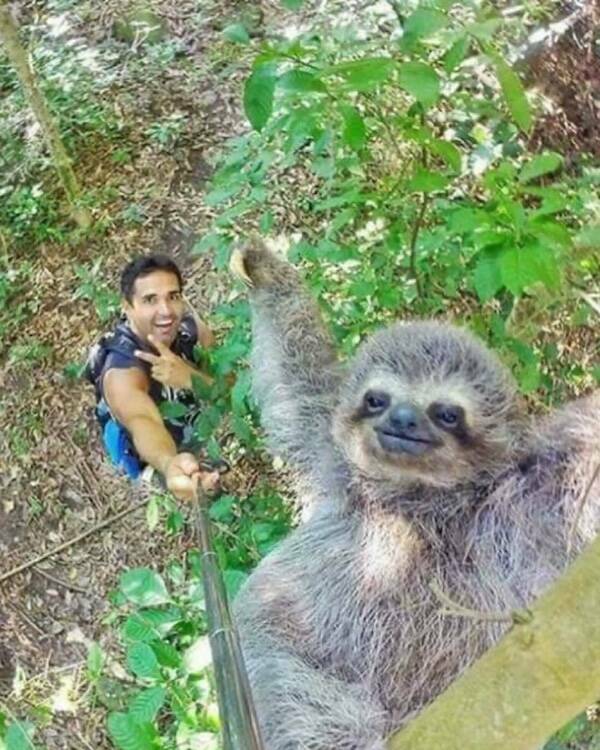 Uplifting Photos To Brighten Your Day Uplifting Photos To Brighten Your Day