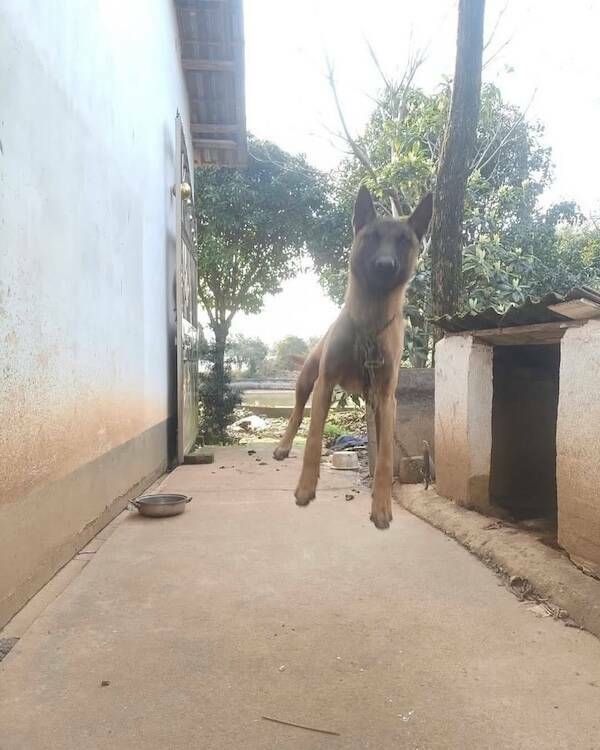 Uplifting Photos To Brighten Your Day Uplifting Photos To Brighten Your Day