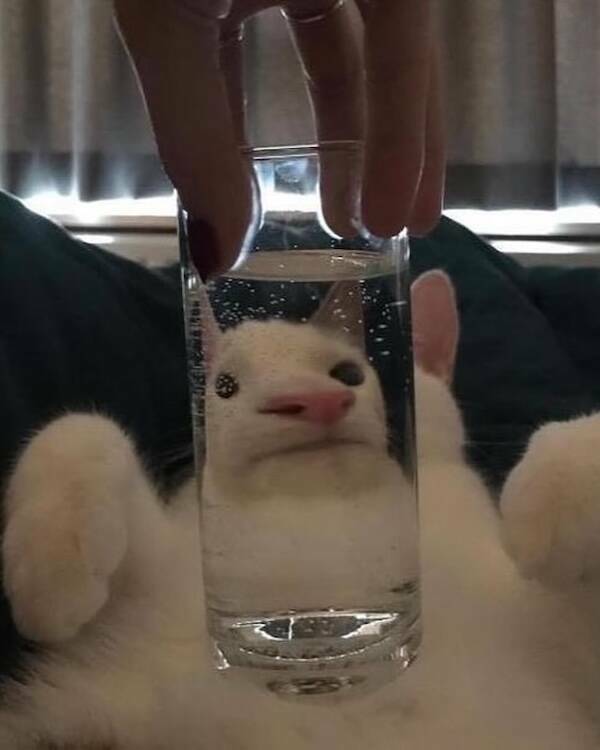 Uplifting Photos To Brighten Your Day Uplifting Photos To Brighten Your Day