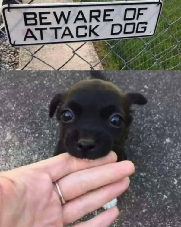 Uplifting Photos To Brighten Your Day Uplifting Photos To Brighten Your Day