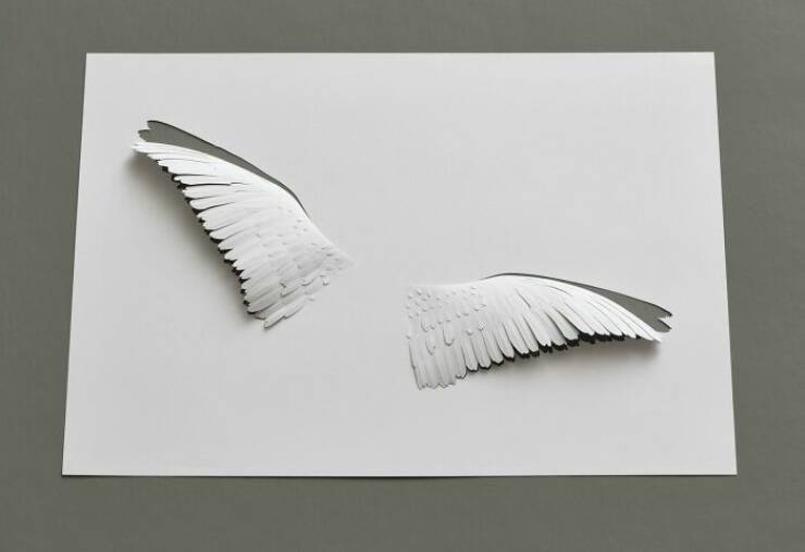 When Ordinary Paper Becomes Extraordinary Art