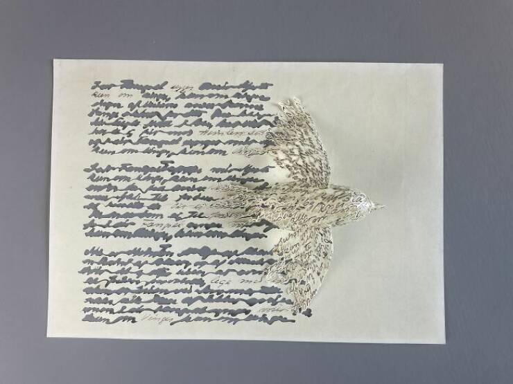 When Ordinary Paper Becomes Extraordinary Art