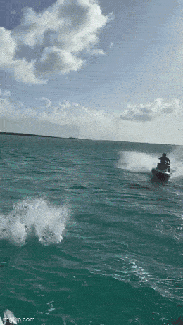 Daily Gifdump [WEEKEND EDITION]