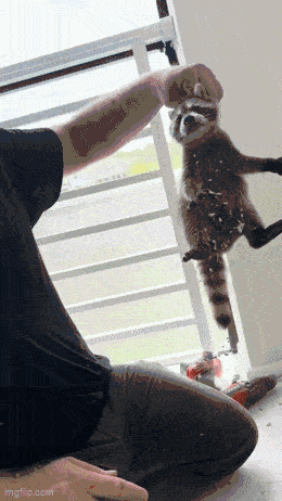 Daily Gifdump [WEEKEND EDITION]