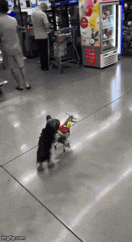 Daily Gifdump [WEEKEND EDITION]