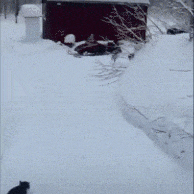 Daily Gifdump [WEEKEND EDITION]