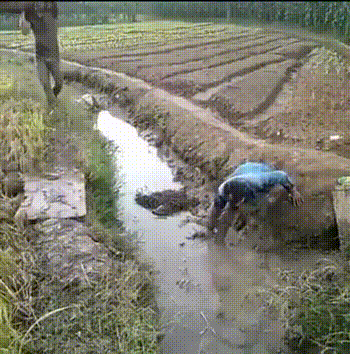 Daily Gifdump [WEEKEND EDITION]