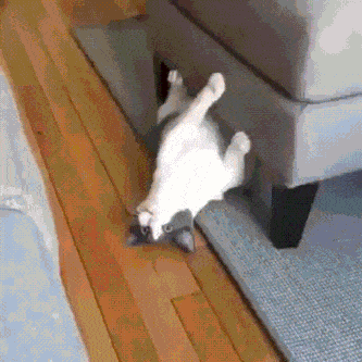 Daily Gifdump [WEEKEND EDITION]