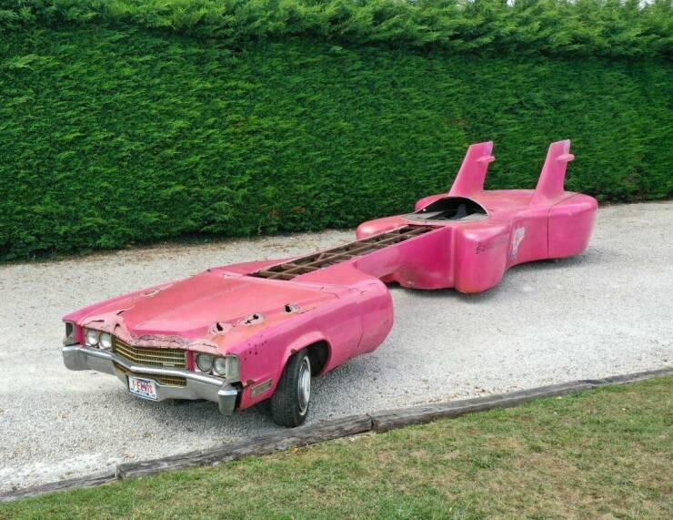 Daily Picdump Daily Picdump