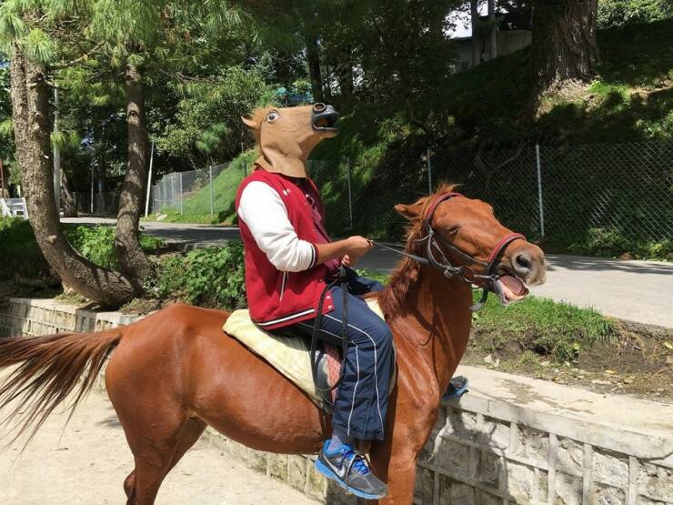 Daily Picdump Daily Picdump