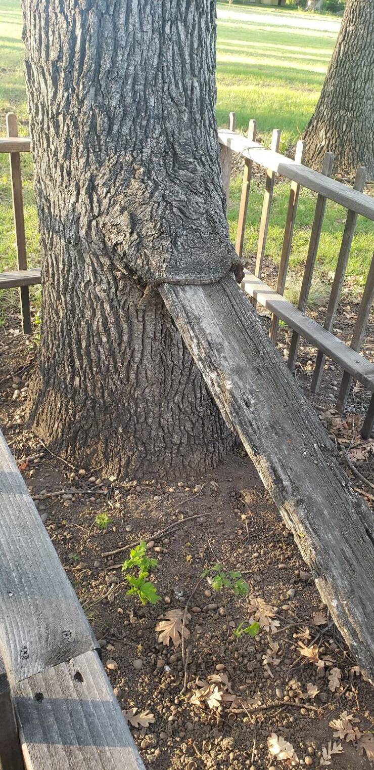 Daily Picdump Daily Picdump