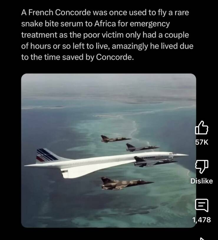 Daily Picdump Daily Picdump