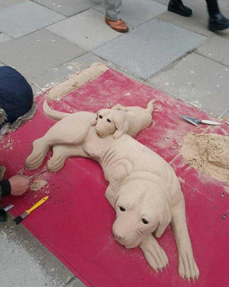 Daily Picdump Daily Picdump