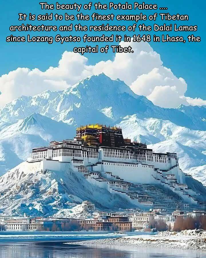 Daily Picdump Daily Picdump