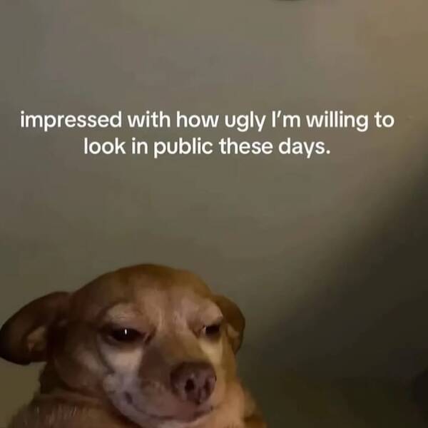 Lazy Memes For A Lazy Day